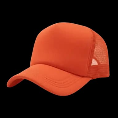 Visionary Trucker
