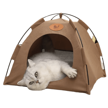 Pet Care